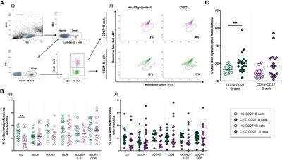 Dysfunctional mitochondria, disrupted levels of reactive oxygen species, and autophagy in B cells from common variable immunodeficiency patients